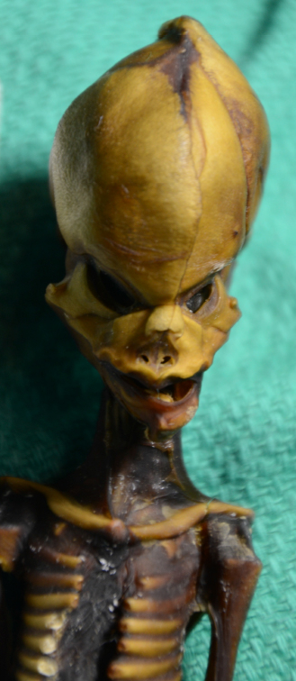 Illustration for article titled Experts Say Recent ‘Alien’ Mummy Study Was Deeply Flawed and Unethical